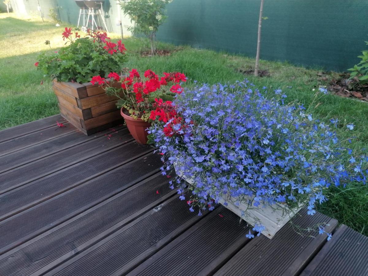 Holiday home Osada Natura Sliwin